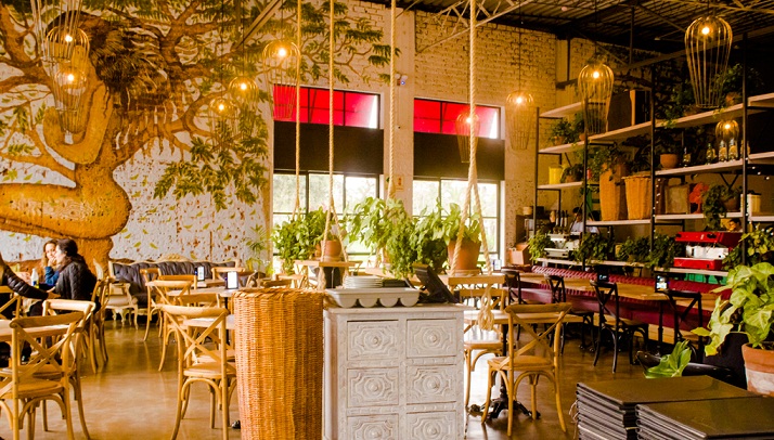 Sofá Café”, una nueva propuesta en Lima - Lima Gris